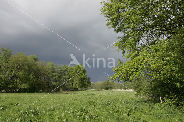 Nationaal beek- en esdorpenlandschap Drentsche Aa