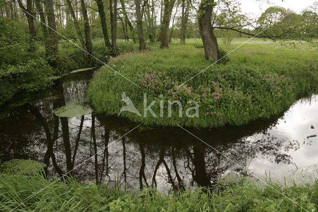 Nationaal beek- en esdorpenlandschap Drentsche Aa