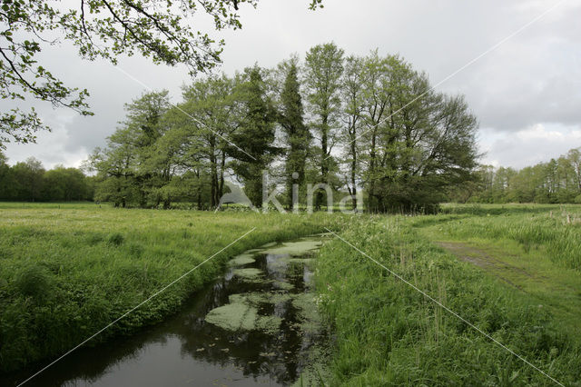 Nationaal beek- en esdorpenlandschap Drentsche Aa