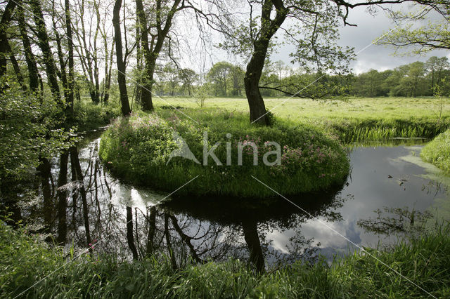 Nationaal beek- en esdorpenlandschap Drentsche Aa