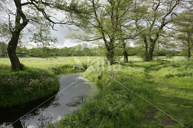 Nationaal beek- en esdorpenlandschap Drentsche Aa