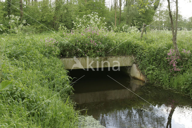 Nationaal beek- en esdorpenlandschap Drentsche Aa