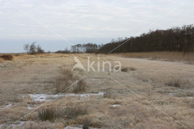 National Park De Alde Feanen