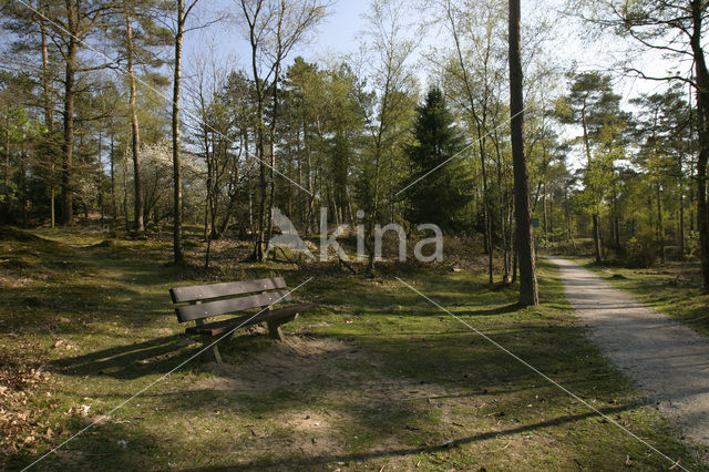 National Park Drents-Friese Wold