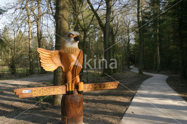 Nationaal Park Drents-Friese Wold