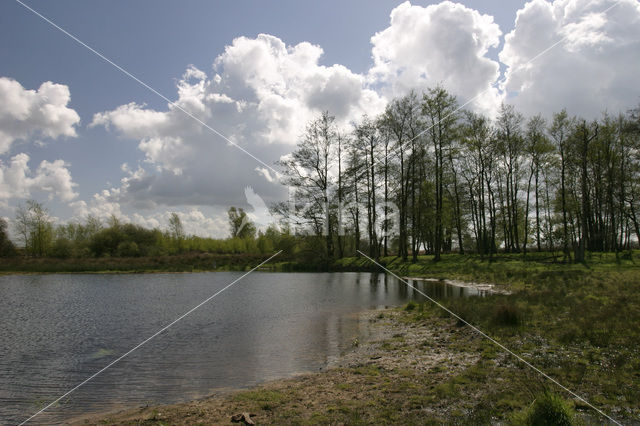 Nationaal Park Drents-Friese Wold