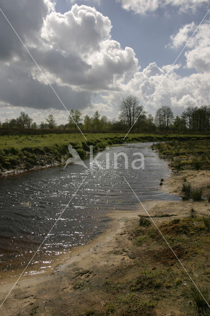 National Park Drents-Friese Wold