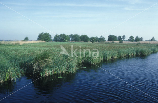 National Park Weerribben-Wieden