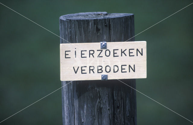 The Netherlands