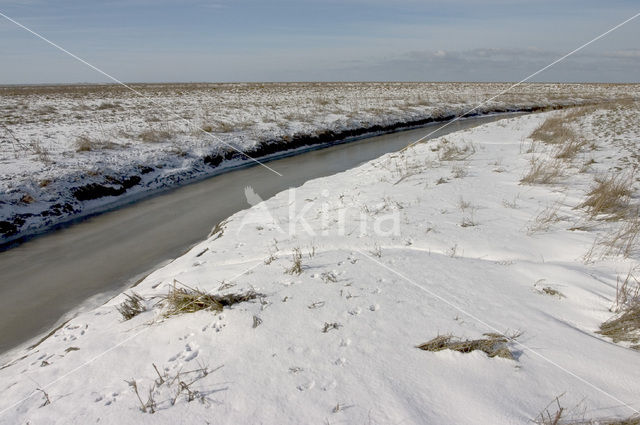 Noord Friesland Buitendijks
