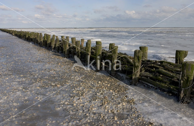 Noord Friesland Buitendijks