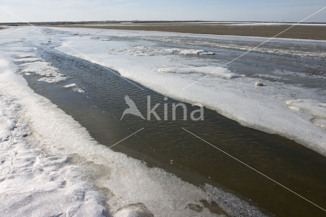 Noord Friesland Buitendijks