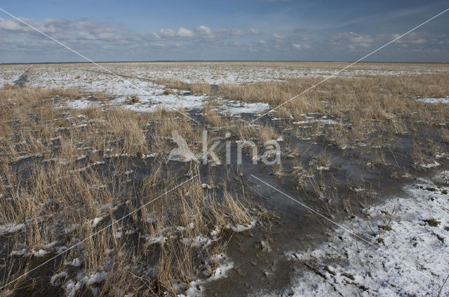 Noord Friesland Buitendijks