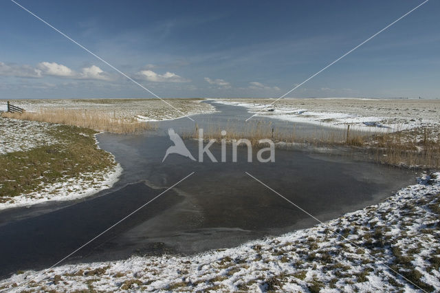 Noord Friesland Buitendijks