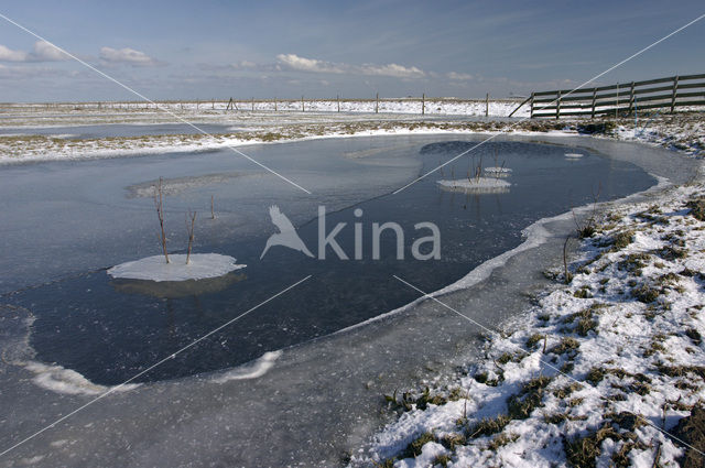 Noord Friesland Buitendijks