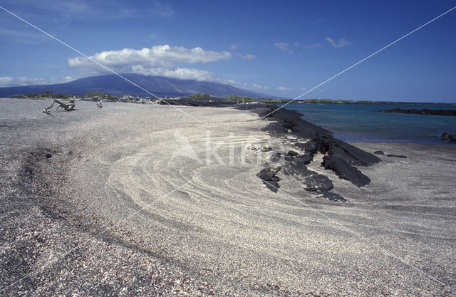 Punta Espinosa