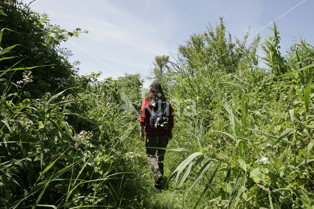 Tiengemeten