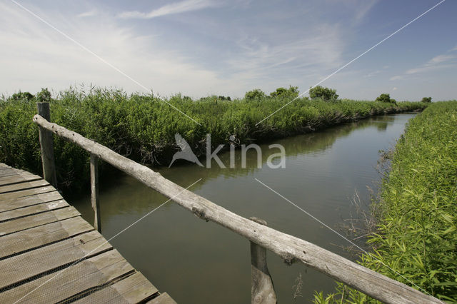 Tiengemeten