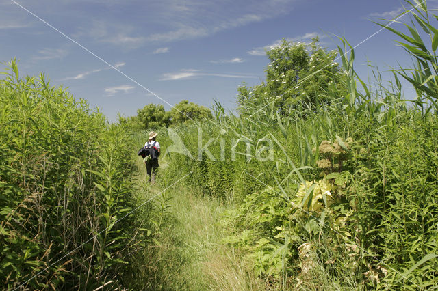 Tiengemeten