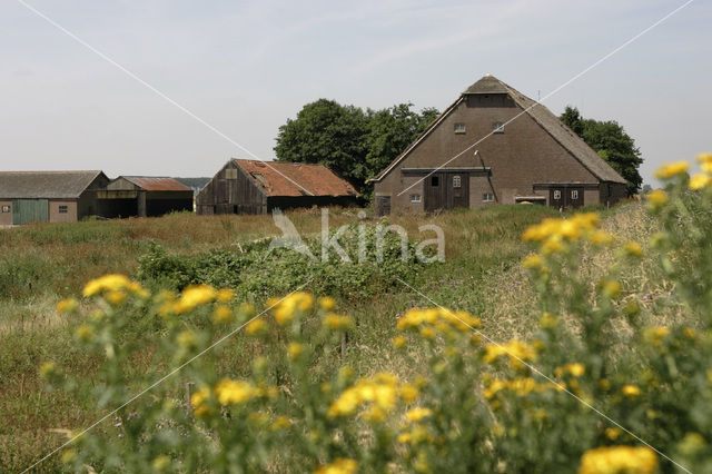 Tiengemeten