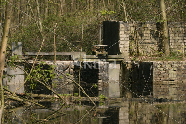 Voorsterbos