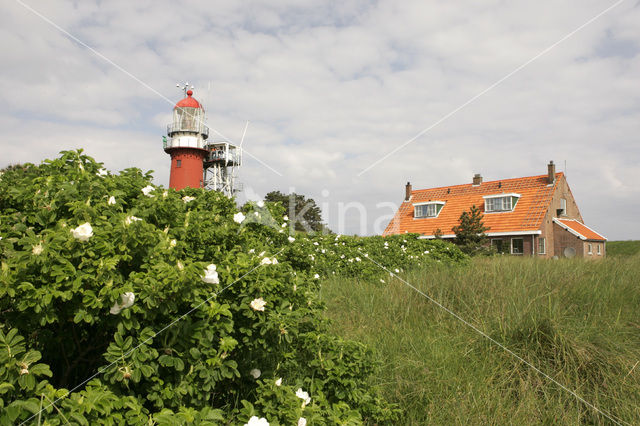 Lighthouse Vuurduin