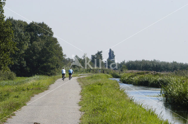 Ankeveense polder