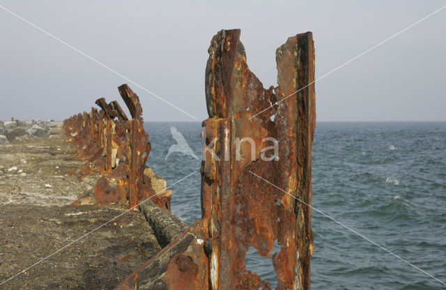 Helgoland