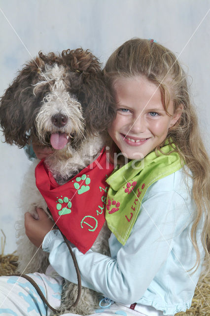 Hond (Canis domesticus)