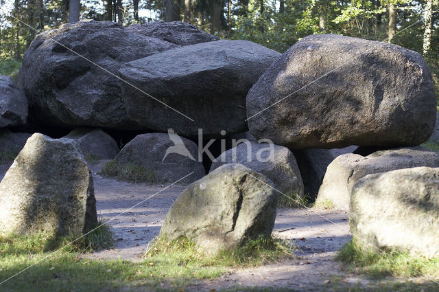 Dolmen D49