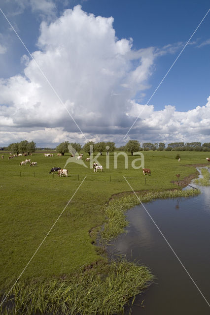 IJssel