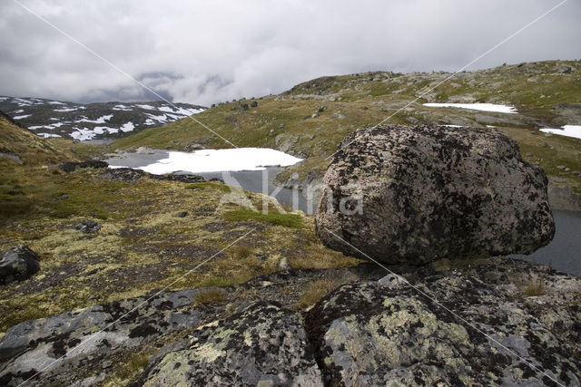 Jotunheimen Nationaal Park