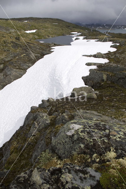 Jotunheimen Nationaal Park