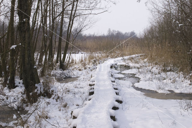 Korenburgerveen