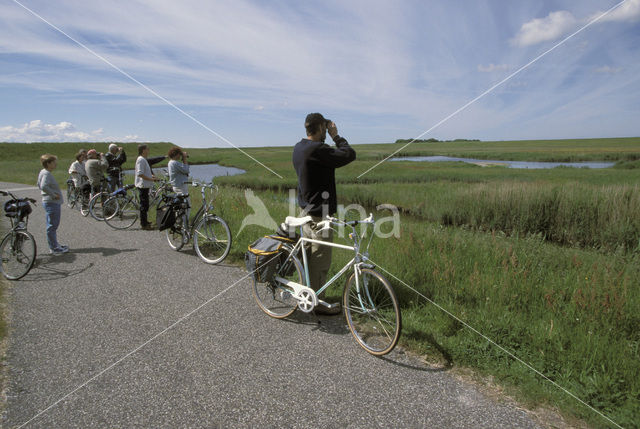 Lage land van Texel