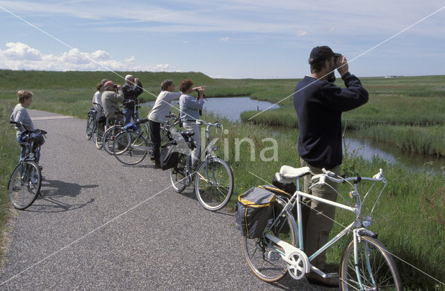 Lage land van Texel