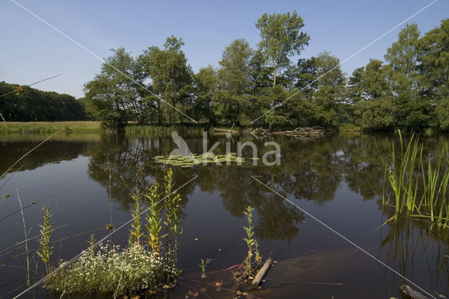 Landgoed Noord Ginkel