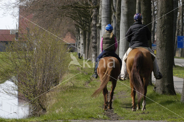 Landgoed Spiegelrust