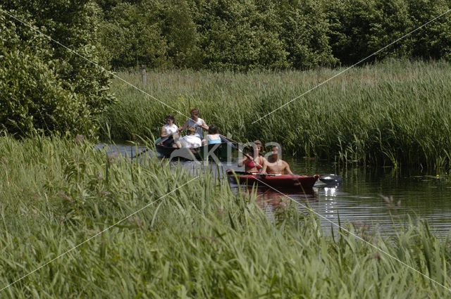 Loosdrechtse plassen