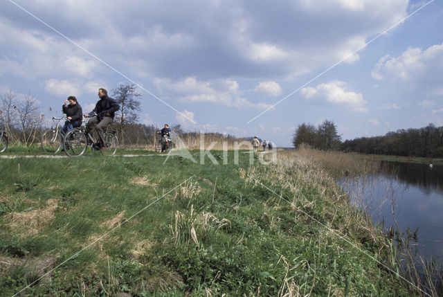 Loosdrechtse plassen