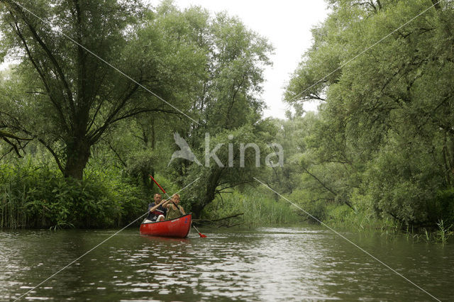 Nationaal Park de Biesbosch