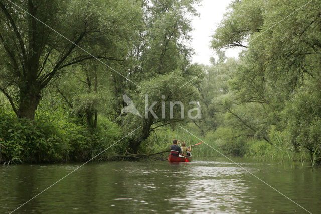 Nationaal Park de Biesbosch