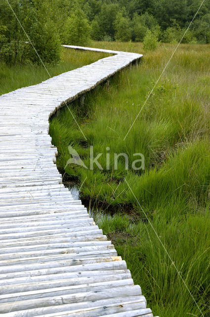 National Park de Groote Peel