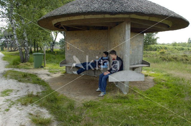 Nationaal Park de Groote Peel