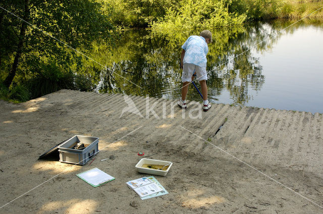 Nationaal Park de Groote Peel