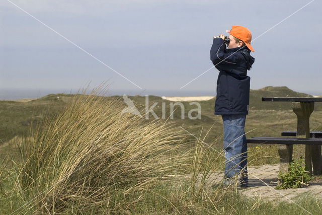 Nationaal Park Duinen van Texel