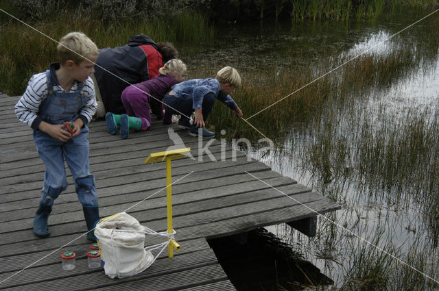 Nationaal Park Dwingelderveld