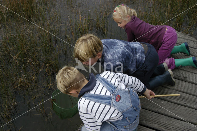 National Park Dwingelderveld