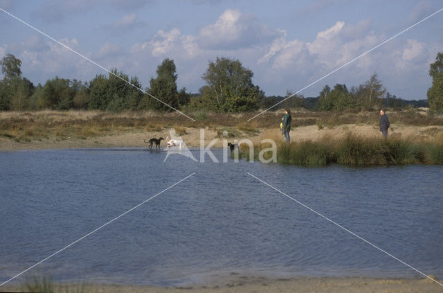 National Park Loonse en Drunense Duinen