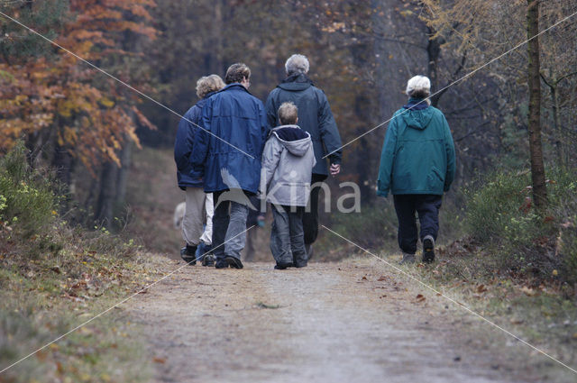 Nationaal park Utrechtse Heuvelrug